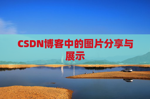 CSDN博客中的图片分享与展示